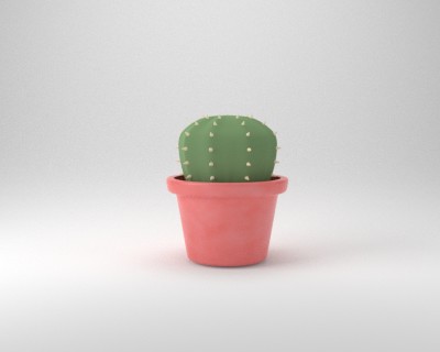 Cactus